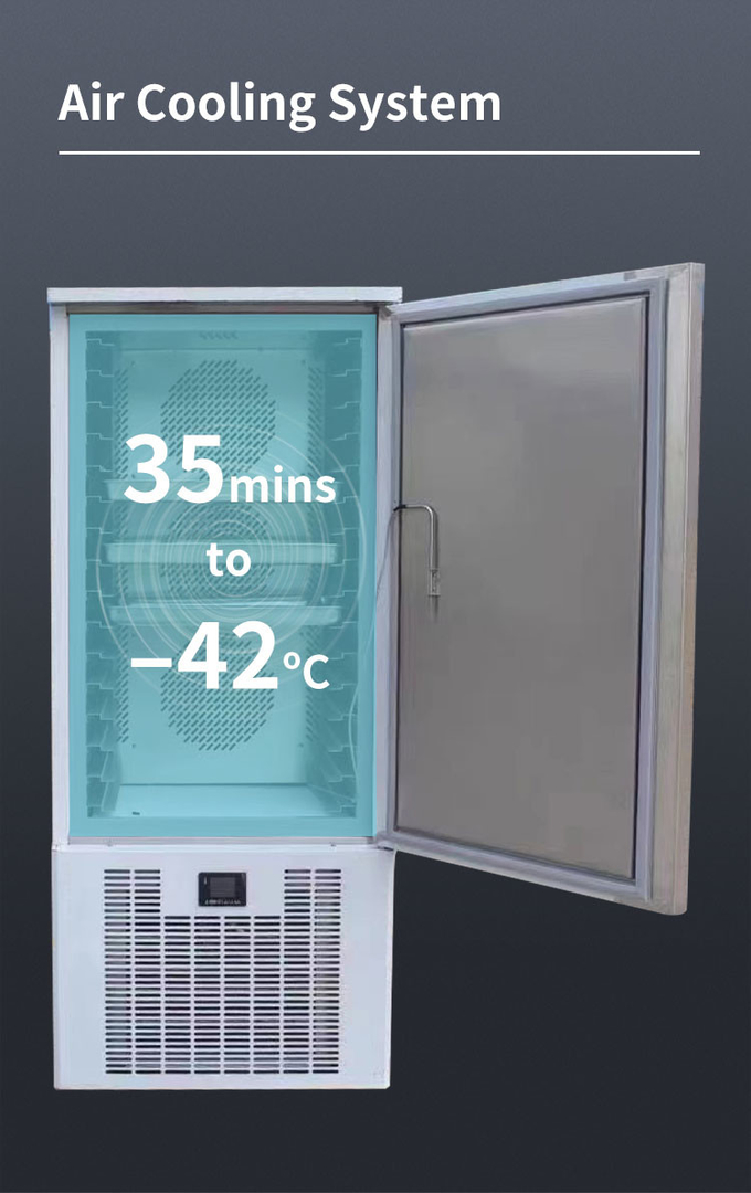 100-200l Blast Freezer Chiller Commercial 5 10 15 ถาดแช่แข็งขนาดเล็กอย่างรวดเร็ว 5